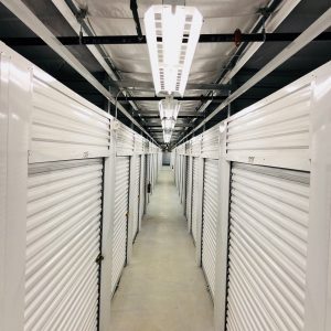Papillion Storage